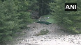 U'khand: Army launches search and rescue op after massive mudslide hit Dharali in Harsil