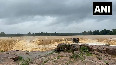Watch: The stunning Chitrakote Falls in Chhattisgarh