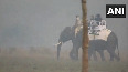 PM Modi takes elephant, jeep safari at Kaziranga National Park