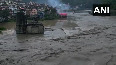 Mandi on Edge: River Beas Turns Deadly!
