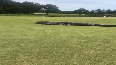 Alligators in a fierce brawl on golf course