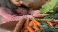 Ziva Dhoni picks organic vegetables