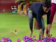 Bigg Boss 10:Manveer is new captain, Rohan punished for hitting Swami!