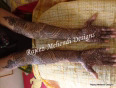Bridal mehendi designs - complete collections