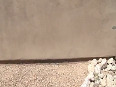 Termite Inspection in Phoenix, Arizona by Ky-Ko Pest Prevention