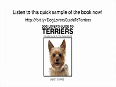 Dog Lover's Guide To Terriers_ Ultimate Guide To The Terrier World