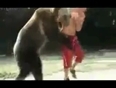 Man-Wrestling-bear