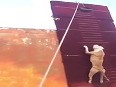 Extreme dog jump