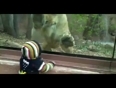 Lioness-trying-to-eat-the-baby