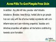 Ayurvedic Herbal Acne Pills To Get Pimple Free Skin