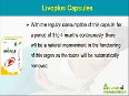 Ayurvedic Liver Purifier Expel Harmful Toxins From The Body