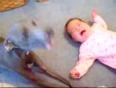 Dog and Baby in a Crying contest