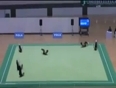 Cool-Synchronized-Gymnastics
