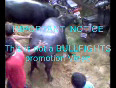 Bullfighting banned in India