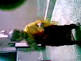 Shreya sari dance