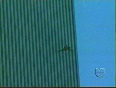 WTC Incredible Suicide World Trade Center