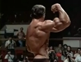 Arnold schwarzenegger mr olympia 1975