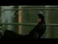 Matrix Reloaded Famous Fight Scene 1