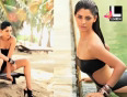 Kingfisher Calendar 2012's SIZZLING beauties!