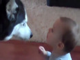 Baby and dog conversation