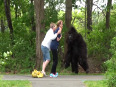 Gorilla attack prank video