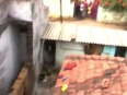 Leopard attack in village video