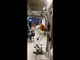 Funniest Gym Workout Routine