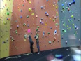 Girl rock climbing tragedy video