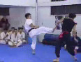 Karate vs Kung Fu