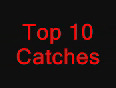 Top 10 Catches - Cricket