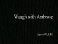 Mark Waugh Vs Ambrose Controversy