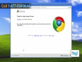 How to upgrade Google  Chrome 8 in Windows  XP
