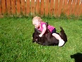 Baby playing with Staffordshire Bull Terrier