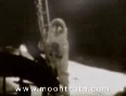 Acctual proof that man did not land on the moon in 1969
