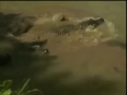 UNBELIEVABLE: How a Crocodile destroyed a giant python