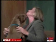 Dog licks news anchor on live TV