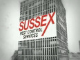 Sussex Pest Control Services - Brighton and Worthing 01273 514802