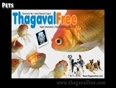 Thagavalfree.com - A New Way to Search For Right Information
