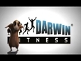 darwin video