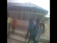 College Girls Fight at Picnic-Video