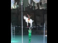 Unseen-Stunt-of-Goat-Monkey-Video
