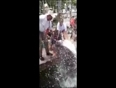 Catching fish turns tragic video