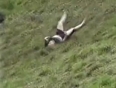 Girl falls down a hill video