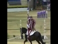 Unseen horse gymnastic video