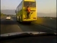 Free ride behind bus video