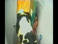 Cow attack girl video