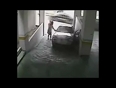 Dumb girl foolish car parking video