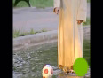 Jesus walks on water video