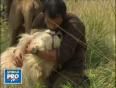 Youtube - unbelievable_ absolute friendship between a man and 38 lions_