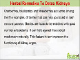Herbal Remedies To Detox Kidneys Naturally And Safely